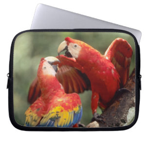 Paar Scharlacharas Laptopschutzhülle