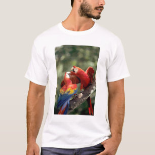 Paar Scharlacharas T-Shirt