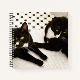 Paar Tuxedo Cats Spiralheft Notizbuch
