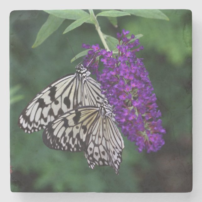Paar von Papier Kite Butterflies Steinuntersetzer (Vorderseite)