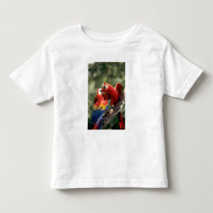 Paar von Scharlacharas Kleinkind T-shirt