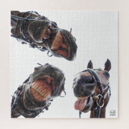 Paarden in de mond gekeken. 3 paarden lachend, hum puzzle