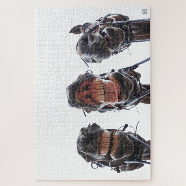 Paarden in de mond gekeken. 3 paarden lachend. puzzle (Vertikal)