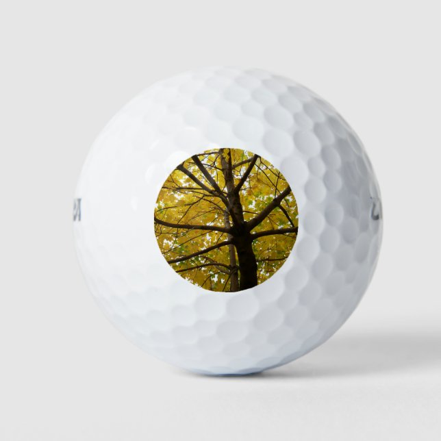 Paare der gelben Ahornbäume Herbstnatur Golfball (Vorderseite)