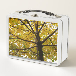 Paare der gelben Ahornbäume Herbstnatur Metall Brotdose