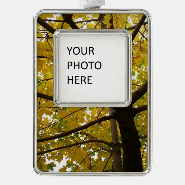 Paare der gelben Ahornbäume Herbstnatur Rahmen-Ornament Silber (Vorderseite)