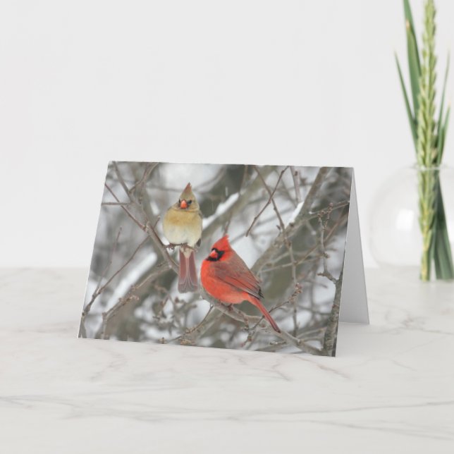 Paare der NordKardinäle Karte (Vorderseite)