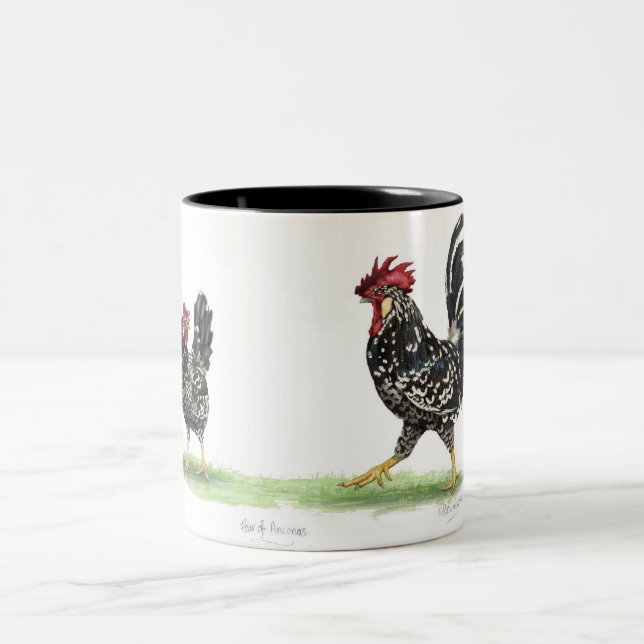 Paare des Ancona-Huhn-Bechers Zweifarbige Tasse (Mittel)