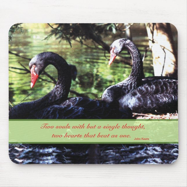Paare für "Life Black Swans" mit Liebe-Zitat Mousepad (Vorne)