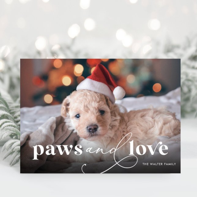 Paare & Liebe Vollpension Foto-Ferienkarte Feiertagskarte (Paws and Love Full Photo Christmas Card)