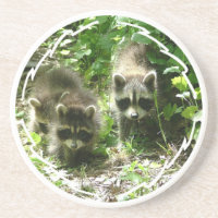 Paare Raccoons-Untersetzer
