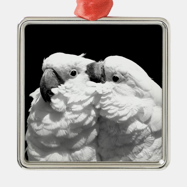 Paare Regenschirm Cockatoos Silbernes Ornament (Vorne)