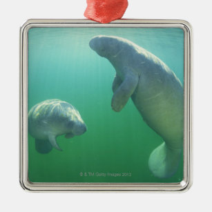 Paare schwimmende Florida-Manatis Ornament Aus Metall