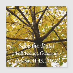 Paare von Gelbapfelbäumen Save the Date Herbst Magnetkarte