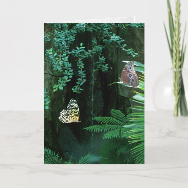 Paare von Schmetterlingen im tropischen Beileid Karte (Vorderseite)