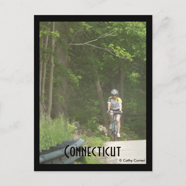 Pachaug Staat Forest, Ct. Postkarte (Vorderseite)