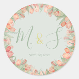 Pachy Pink & Mint Frühlingshuppen Ursprünglich Runder Aufkleber