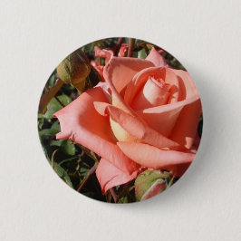 Pachy Rosa Rose Button