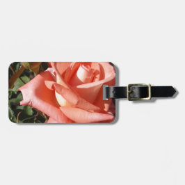 Pachy Rosa Rose Gepäckanhänger
