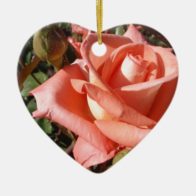 Pachy Rosa Rose Keramik Ornament (Vorne)