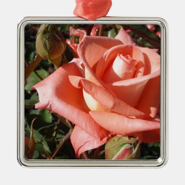 Pachy Rosa Rose Ornament Aus Metall (Vorne)