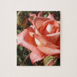 Pachy Rosa Rose Puzzle