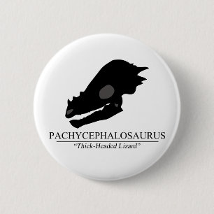 Pachycephalosaurus Skull Button