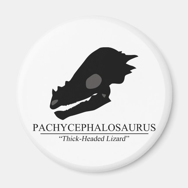 Pachycephalosaurus Skull Magnet (Vorne)