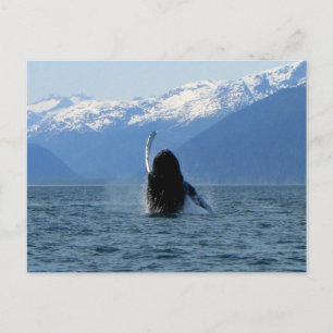Pacific Ballet Postkarte