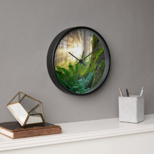 Pacific Coast Forest, Oregon Uhr