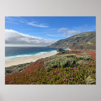 Pacific Coast Poster