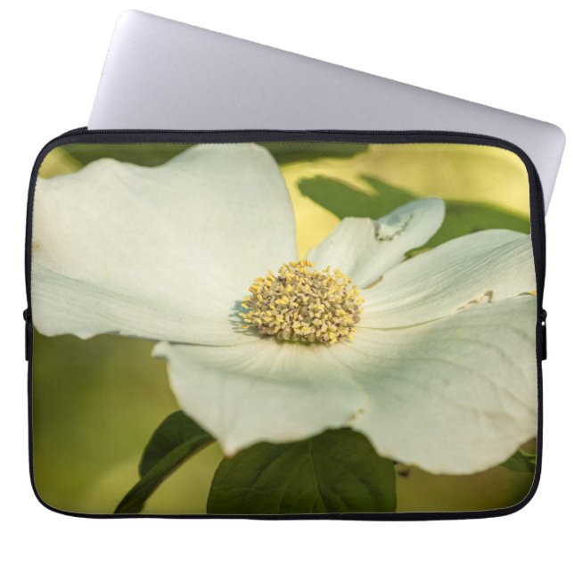 Pacific Dogwood Laptopschutzhülle (Vorderseite)
