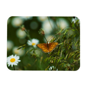 Pacific Fritillary Butterfly Magnet
