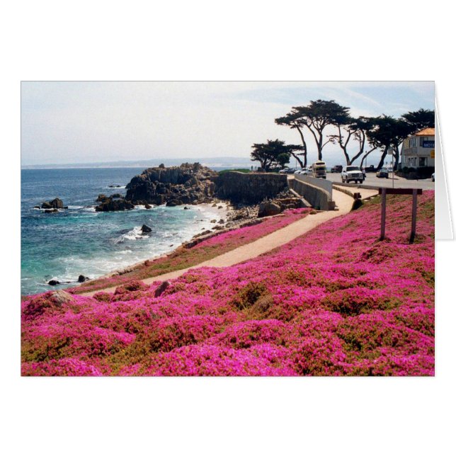 Pacific Grove-Monterey Calif (Vorderseite (Horizontal))