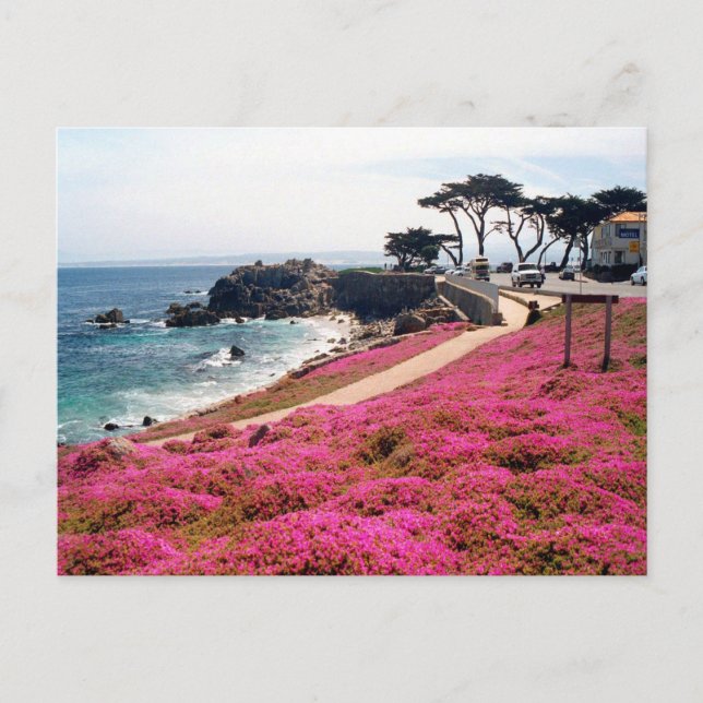 Pacific Grove-Monterey Calif Postkarte (Vorderseite)