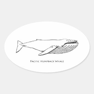 Pacific Humpback Whale Ovaler Aufkleber