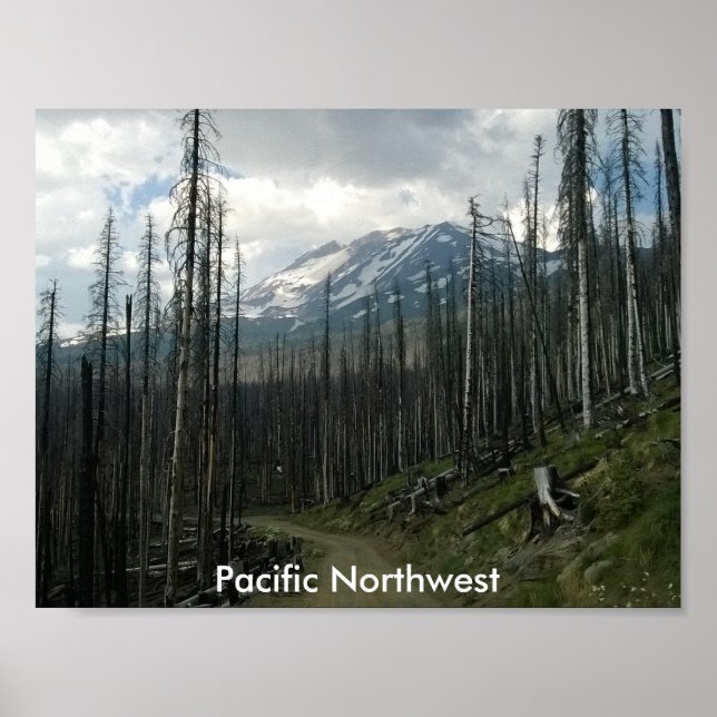 Pacific Northwest Back Road Beauty Poster (Vorne)