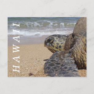Pacific Ocean Beach Turtle Hawaii Postkarte