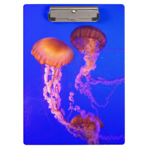 Pacific Sea Netty Jellyfish Clipboard Klemmbrett