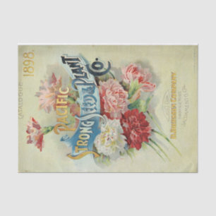 Pacific Strong Seed & Pflanze 1898 Vintag Catalog Seidenpapier