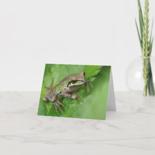 Pacific Tree Frog - Framework Art Card Karte