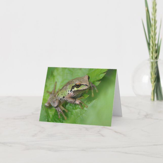 Pacific Tree Frog - Framework Art Card Karte (Vorderseite)