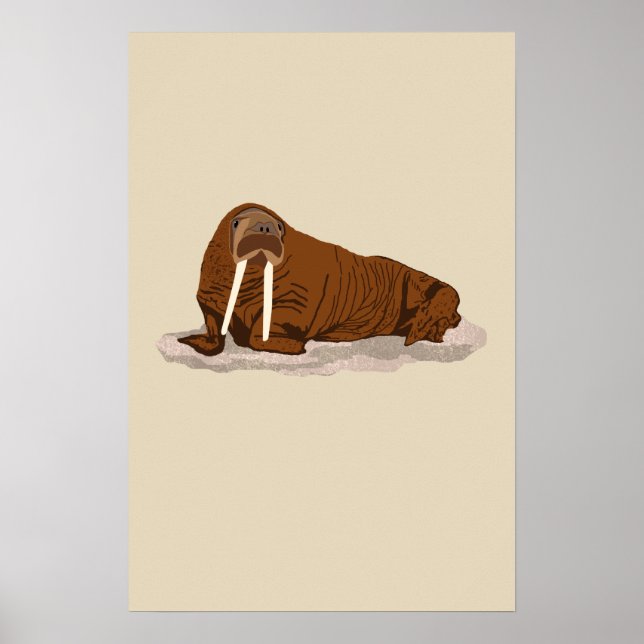 Pacific Walrus Poster (Vorne)