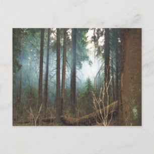 Päckchenholz Postkarte