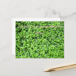 Packed with greenery postkarte