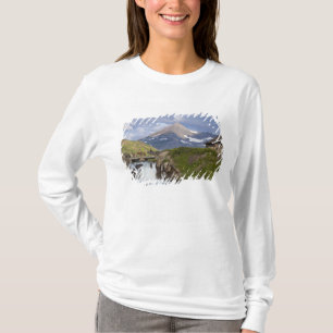 Packer führen Pferde über Brücke über Brücke T-Shirt
