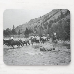 Packmulis über einen Fluss treiben Mousepad