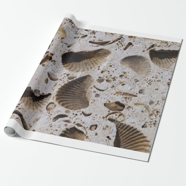 Packpapier (Ungerollt)