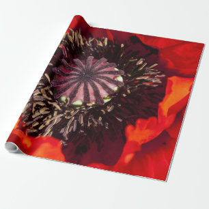 Packpapier-Orangen-Mohnblume Geschenkpapier
