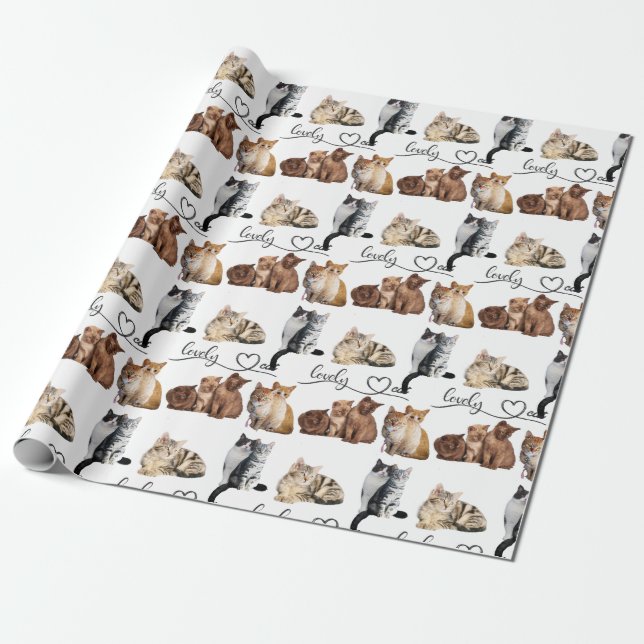 Packung mit Katzen, Funny Cats Geschenkpapier (Ungerollt)